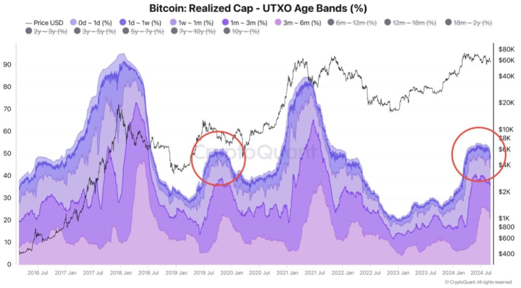 نمودار ارزش واقعی بیت کوین برای گروه های هلدینگ مختلف - منبع: CryptoQuant