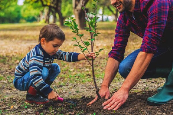 گام های بزرگ برای راه اندازی مهد کودک – خبرگزاری بیشتر اخبار ایران و جهان.