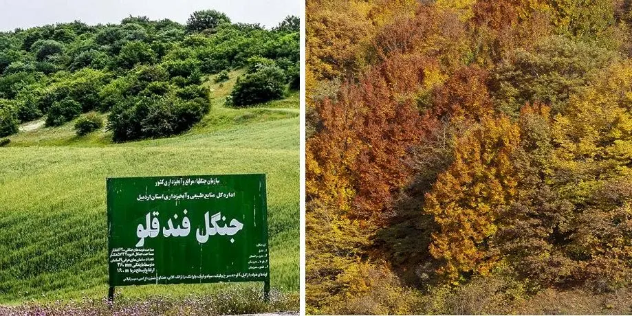 معرفی جنگل زیبای فندخلو اردبیل / سفر پاییزی جذاب به طبیعت شگفت انگیز