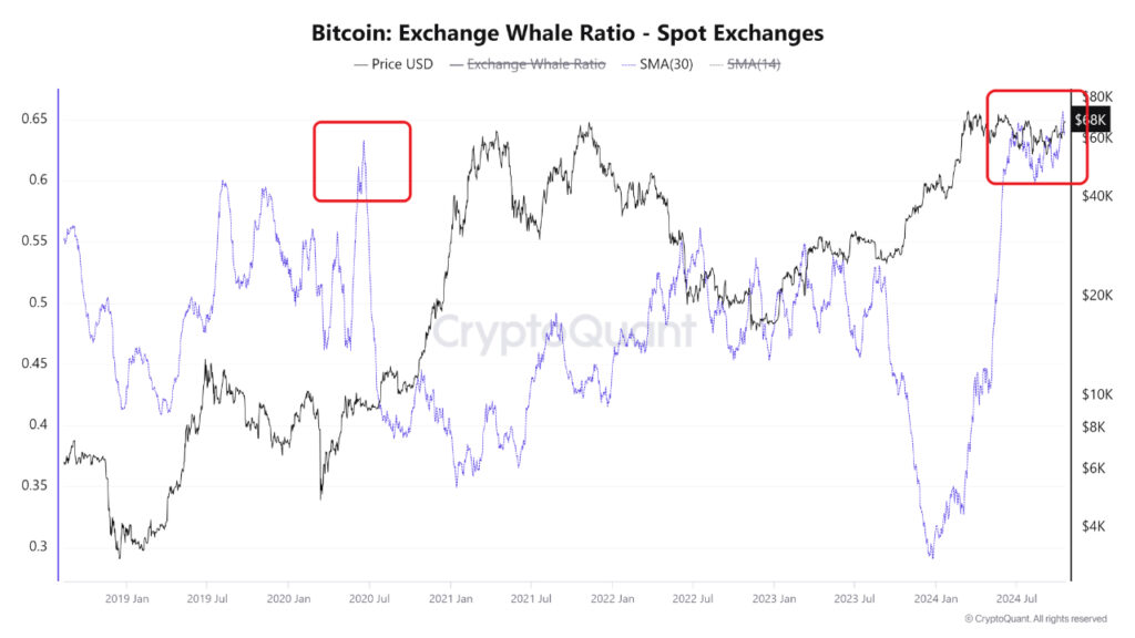 Bitcoin Exchange Whale Ratio - منبع: CryptoQuant