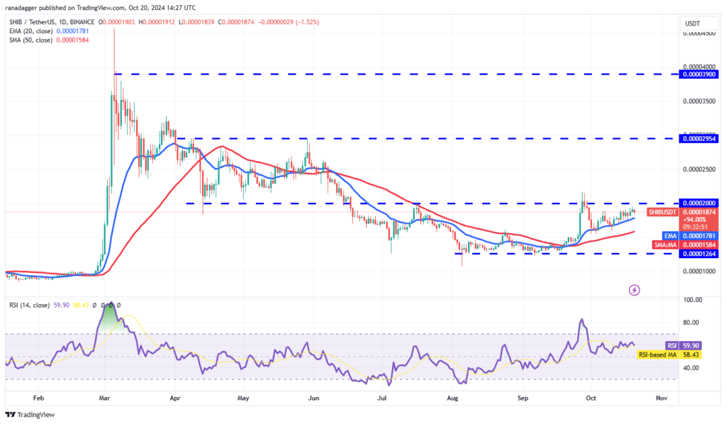 نمودار قیمت روزانه شیبا اینو - منبع: TradingView