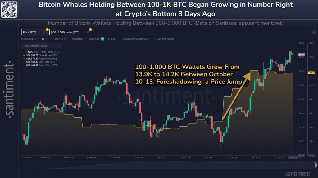 افزایش دارایی بیت کوین Whales در ماه اکتبر - منبع: حساب Santiment در X