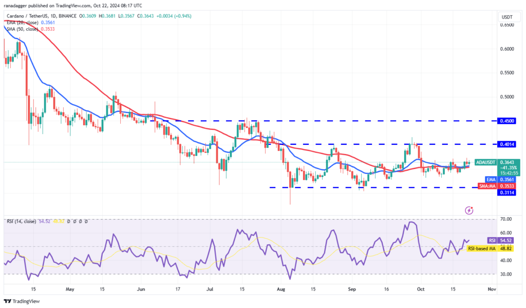 نمودار قیمت روزانه کاردانو - منبع: TradingView