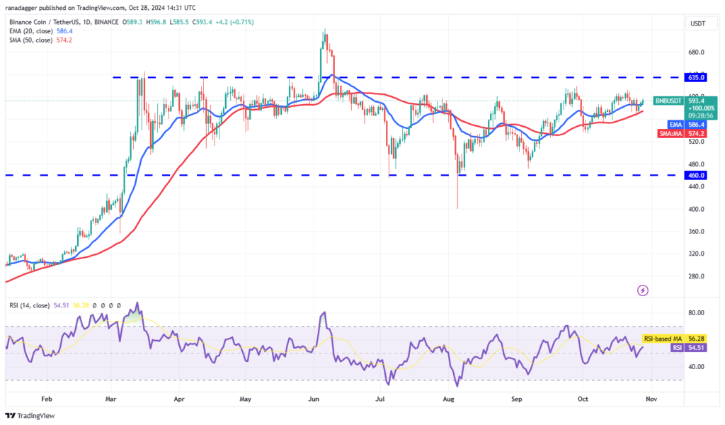 نمودار قیمت روزانه BNB - منبع: TradingView