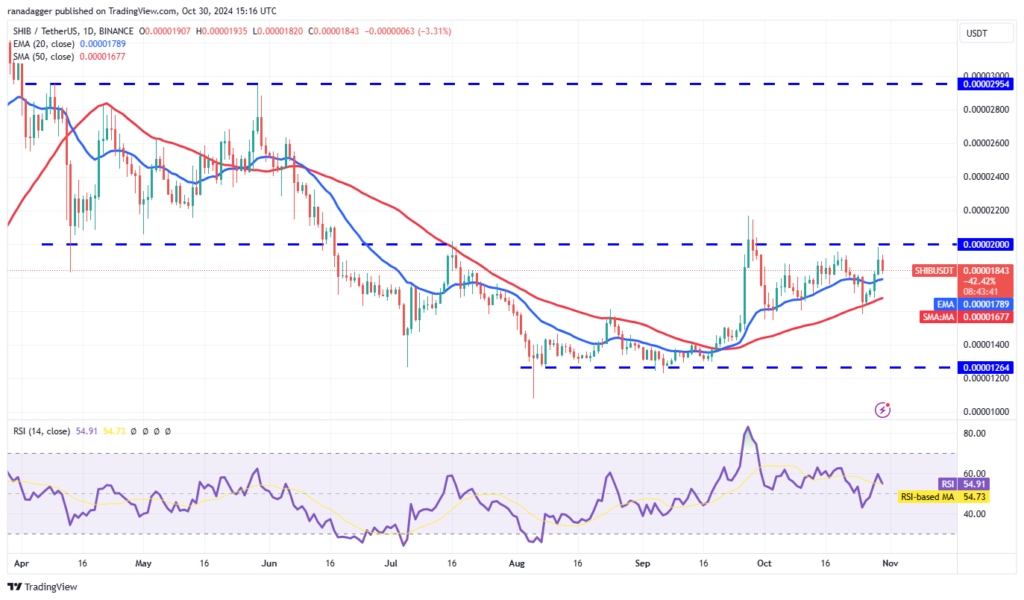 نمودار قیمت روزانه شیبا اینو - منبع: TradingView