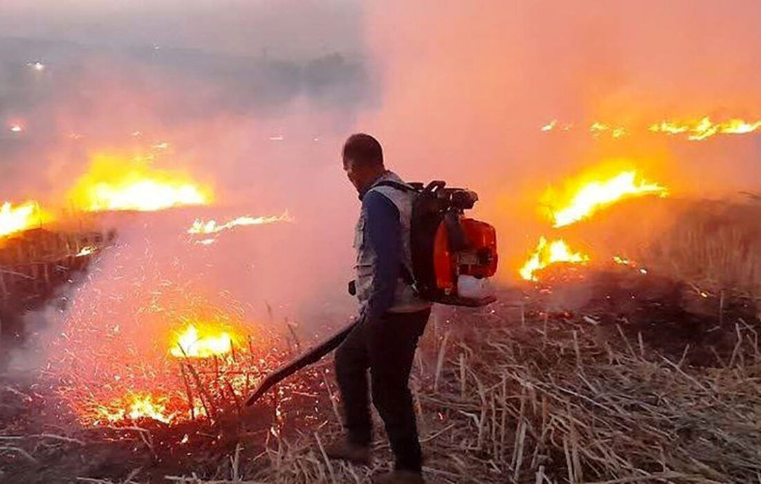 آتش سوزی گسترده در مزارع استان لرستان به نام آتش افروزان