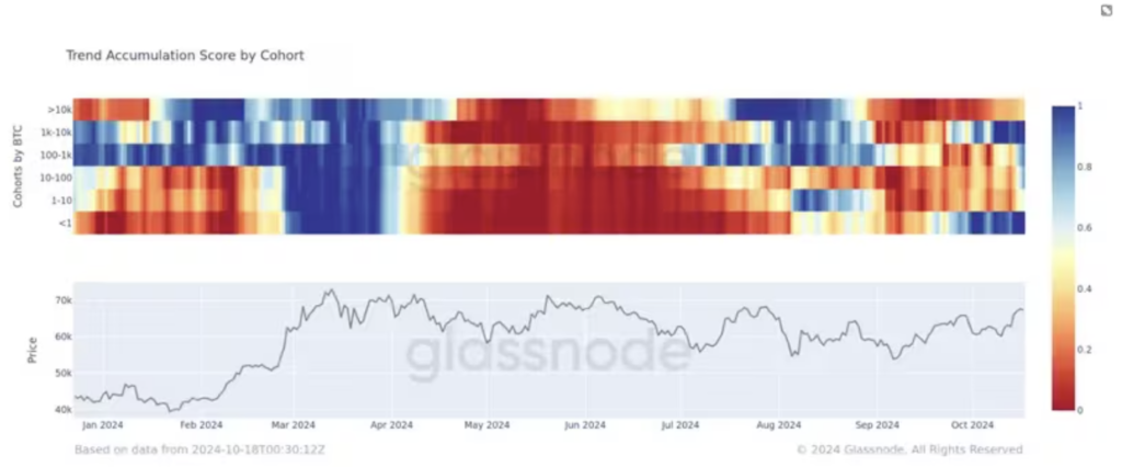 روند انباشت بیت کوین توسط گروه های مرتبط - منبع: Glassnode