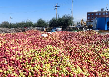 انباشته شدن سیب در کنار جاده ها و ثروت باد آورده – خبرگزاری مهر از ایران و جهان.