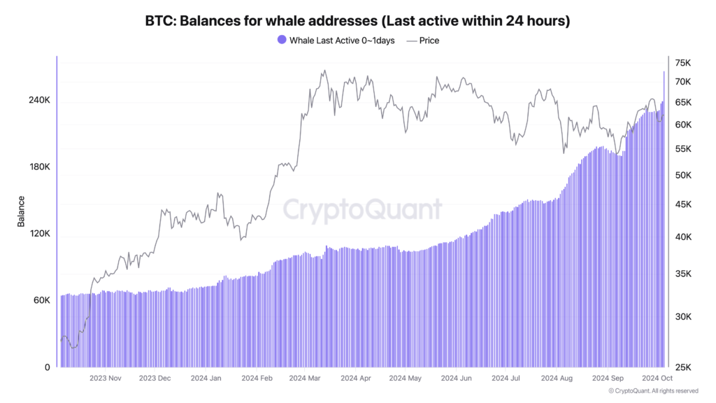 عرضه برای نهنگ های فعال بیت کوین - منبع: CryptoQuant