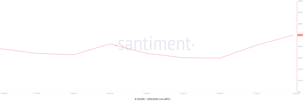 دارایی نهنگ بیت کوین - منبع: Santiment