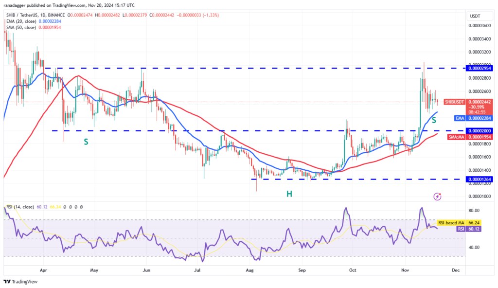 نمودار قیمت روزانه شیبا اینو - منبع: TradingView