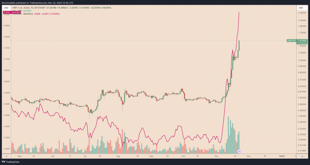 نمودار قیمت کاردانو و ریپل - منبع: TradingView