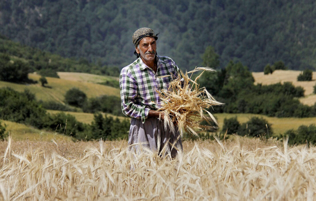 سرشماری کشاورزی ربطی به مالیات ندارد