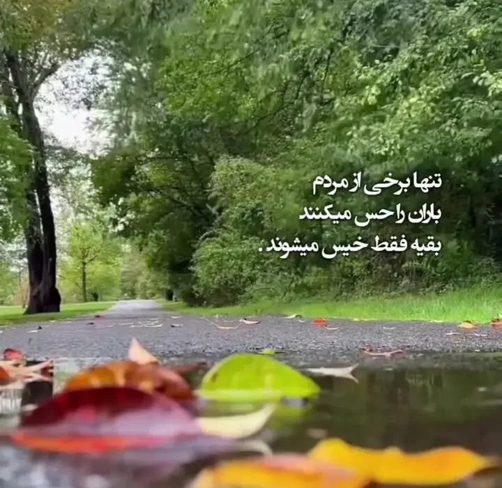 فال و فال روزانه دهم شانس + فیلم