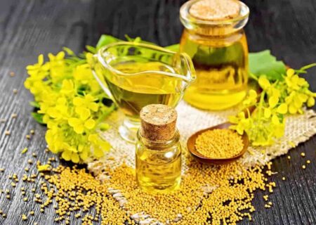 ویژگی های روغن های خوراکی و سرخ کردنی – خبرگزاری مهر | اخبار ایران و جهان