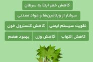 خواص ریواس (رابارب) برای سلامتی؛ از کاهش وزن تا پیشگیری از سرطان