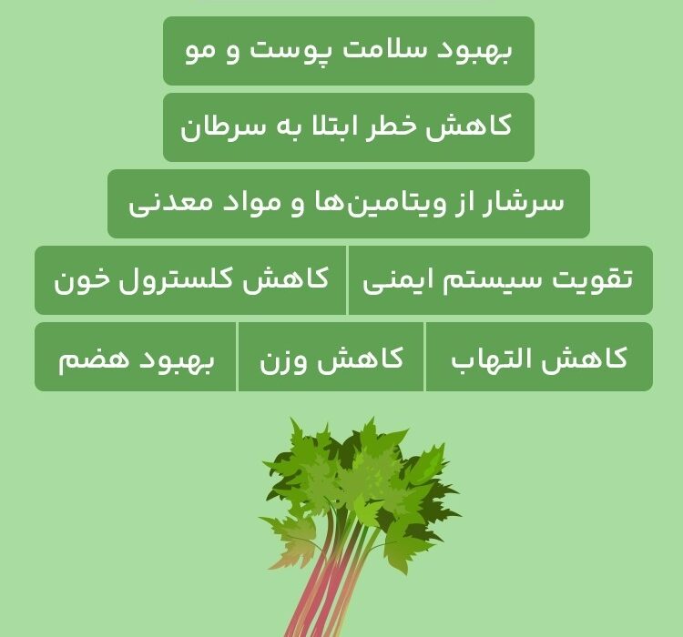 خواص ریواس (رابارب) برای سلامتی؛ از کاهش وزن تا پیشگیری از سرطان